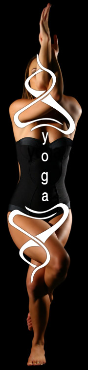 Eagle Pose Yoga Logo