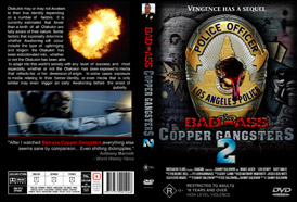 faux dvd cover