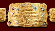 Replica of belt buckle awarded to Elvis Presley