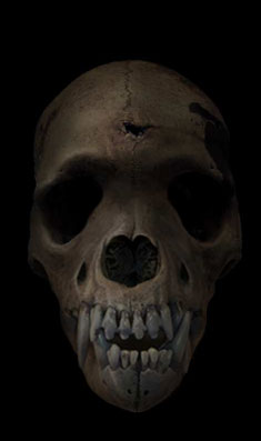lycanthrope skull with bullet hole