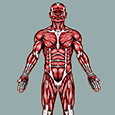 pressure point chart
