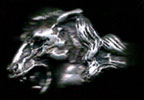 Equine Head Ring