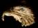 Eagle Head pendant