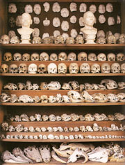 http://morbidanatomy.blogspot.com/