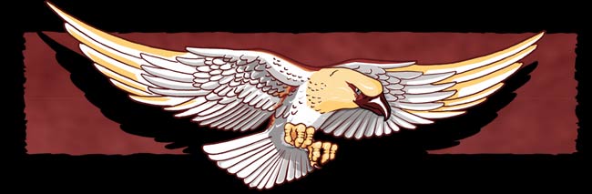 Eagle flight