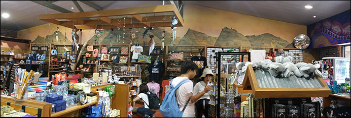 Overview of Internal wall mural at Dreamworld's Bunya Traders. 