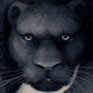 Panther art